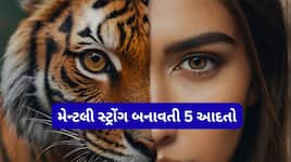 આ 5 આદત અપનાવી લેશો તો અંદરથી બની જશે મજબૂત, પછી કોઈ વ્યક્તિ તમને દુ:ખી નહીં કરી શકે