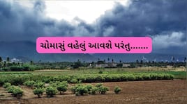 ચોમાસા અંગે સારા અને ખરાબ સમાચાર! જાણો ગુજરાતમાં ક્યારે આવશે વરસાદ?