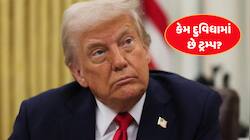 દીકરાના લગ્નમાં જઈશ તો મરીશ, નહીં જઉ તો પણ મરીશ! આવું કેમ બોલ્યા ટ્રમ્પ?