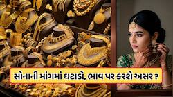 શું સોનું સસ્તું થશે? 10 વર્ષના લો લેવલે આવી શકે છે ડિમાંડ, CRISIL-WGCએ આપી ચેતવણી