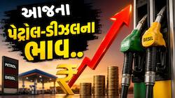 દેશના આ શહેરમાં પેટ્રોલ ₹113.53 અને ડીઝલ ₹101.55 એ પહોંચ્યું, ફ્યુઅલના નવા ભાવ જાહેર