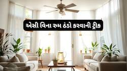 ભીષણ ગરમીના કારણે તપતા રુમને ઠંડો કરવાનો દેશી જુગાડ, આ ટ્રીક ક્યારેય ફેલ નથી થતી