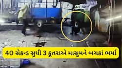 સુરતથી હચમચાવી દેતા CCTV આવ્યા, બાળક પર તૂટી પડ્યા રખડતા શ્વાન, લોકોએ છોડાવ્યો ન હોત