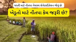 નૌતપા ખેડૂતો માટે વરદાન છે! નૌતપા ન હોય તો ખેડૂતોનું ચોમાસું બગડે, ત્યારે જાણો શું છ