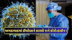 Ebola Alert: ગુજરાતમાં ઇબોલાનો પ્રથમ શંકાસ્પદ કેસ, તાવના લક્ષણો હોવાથી હોસ્પિટલમાં 