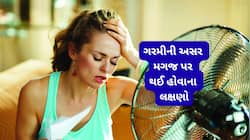 આ 4 લક્ષણ દેખાય તો સમજી લેજો ગરમી મગજ પર ચડી ગઈ, આવું થયા પછી તુરંત શું કરવું જાણો