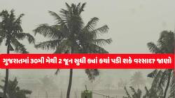 વિનાશકારી તોફાનના ભણકારા! IMDએ મૂસળધાર વરસાદનું એલર્ટ જાહેર કર્યું