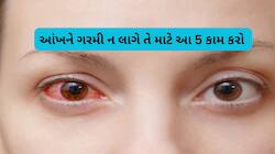 Eye Care: આંખને ડેમેજ કરી શકે છે ગરમ હવાઓ, આંખની સંભાળ રાખવા અપનાવો આ 5 ઘરેલુ ઉપાયો
