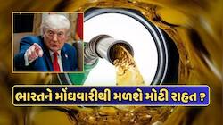 ટ્રમ્પ હોર્મુઝ પરથી નાકાબંધી હટાવશે, તો શું ભારતમાં પેટ્રોલ અને ડીઝલ સસ્તું થશે?