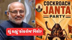 ઉપરાષ્ટ્રપતિએ કોને આપી 'કોકરોચ' ચેતવણી? કહ્યું- યોગ્ય જાણકારી નહીં પહોંચે તો...