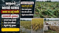 વરસાદે વેર્યો વિનાશ! ચોમાસા પહેલા જગતના તાત પર તૂટ્યું આભ,કાપણી માટે તૈયાર પાક ગરકાવ