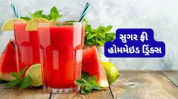 મીઠાશ વગર પણ ભાવશે, ઉનાળાની ગરમીની છુટ્ટી કરો આ દેશી સુગર ફ્રી ઠંડા પીણાથી
