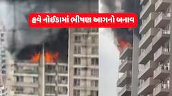હવે નોઈડાની બહુમાળી ઈમારતના 12માં માળે ભીષણ આગ, અનેક ફ્લેટોમાં ફેલાઈ