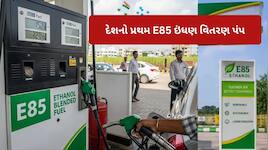 ₹102 નું પેટ્રોલ હવે માત્ર 82 રૂપિયામાં, ઇથેનોલ બદલી નાખશે દેશની તસવીર