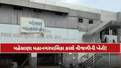 મહેસાણા મનપા હવે કરશે વીજળીની ખેતી! જાણો શું છે માસ્ટર પ્લાન, દર મહિને બચશે 1.5 કરોડ