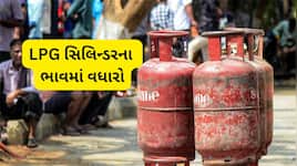 LPG Price Hike: અડધી રાત્રે રસોઈ ગેસના ભાવમાં ઝીંકાયો 29 રુપિયાનો વધારો