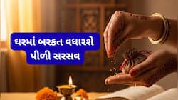 આ પીળા દાણામાં તમારું ભાગ્ય બદલવાની શક્તિ છે, પાવર જોવો હોય તો ટ્રાય કરી જુઓ આ ઉપાય