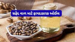 White Hair: વાળ સફેદ થવાની શરુઆત જ થઈ હોય તો વાળને કાળા કરવા લગાડો આ 3 માંથી 1 વસ્તુ