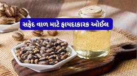 White Hair: વાળ સફેદ થવાની શરુઆત જ થઈ હોય તો વાળને કાળા કરવા લગાડો આ 3 માંથી 1 વસ્તુ