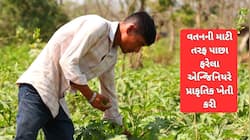 લાખો રૂપિયાનું IT પેકેજ છોડીને યુવક બન્યો ખેડૂત! ખેતીમાં એવી સફળતા મેળવી કે કોર્પોરે