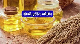 હાર્ટનું સ્વાસ્થ્ય સારું રાખવું હોય તો રસોઈનું તેલ બદલો, જાણો કયા તેલમાં રસોઈ કરવી ?