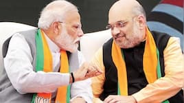 રાજ્યસભા ચૂંટણી બાદ થશે ધરખમ ફેરફાર? મોદી કેબિનેટમાંથી અનેક મંત્રી થઈ શકે બહાર