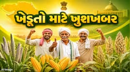 ગુજરાત સરકારની ખેડૂતોને મોટી ભેટ, ટેકાના ભાવે અનાજ ખરીદી મર્યાદામાં કરાયો ધરખમ વધારો