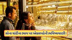શું હવે સોનું અને ચાંદી બનાવશે નવો રેકોર્ડ ? એક્સપર્ટે ખરીદદારોને આપી આ સલાહ