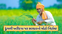 ડુંગળી પકવતા ખેડૂતો માટે સરકારનો મોટો નિર્ણય, ખરીદવા પર આપી મોટી અપડેટ, જાણો