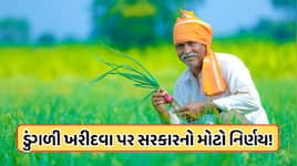 ડુંગળી પકવતા ખેડૂતો માટે સરકારનો મોટો નિર્ણય, ખરીદવા પર આપી મોટી અપડેટ, જાણો