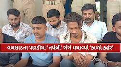 જેલમાંથી છૂટતા જ ફરી ચોરીના રવાડે ચડ્યા! વલસાડ પોલીસે 'તપેલી' ગેંગ પાસેથી લાખોનો મુદ