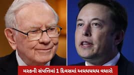 દૌલતનું રમખાણ: વૉરેન બફેટની લાઈફ ટાઈમ કમાણીને આ ખરબપતિએ ૨૪ કલાકમાં ધોઈ નાખી!