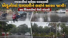 નવસારીમાં મેઘરાજાની એન્ટ્રી; માટીની ભીની સુગંધથી લોકો હરખાયા, દક્ષિણ ગુજરાતમાં આજથી