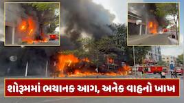 સુરતના અડાજણમાં TVS શોરૂમમાં ભીષણ આગ, અનેક વાહનો બળીને ખાખ