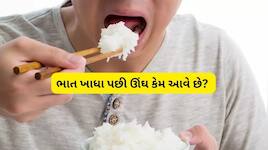 Sleepiness After Eating Rice: ભાત ખાધા પછી ઊંઘ કેમ આવે છે? જાણો તેની પાછળનું વિજ્ઞાન
