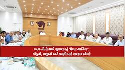અલ નીનોના ડાકલા વચ્ચે 'ભૂપેન્દ્ર દાદા'નો મોટો નિર્ણય; નર્મદાથી હવે 7 કિ.મી સુધીના...