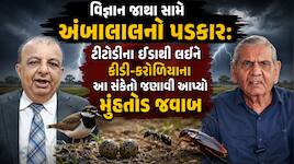 જ્યંત પંડ્યાના આક્ષેપો પર અંબાલાલનો પલટવાર; પ્રકૃતિ, પશુ-પક્ષીઓ અને નક્ષત્રોના આ સંક