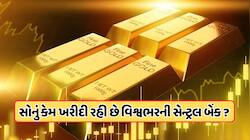 ગોલ્ડ પર શા માટે રોકાણ કરી રહી છે વિશ્વભરની સેન્ટ્રલ બેંક ? જાણો 