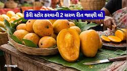 Lifehacks: આ રીતે કેરીના ટુકડા કરી સ્ટોર કરી લો, મહિનાઓ સુધી કેરી ખરાબ નહીં થાય
