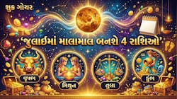 જુલાઈના પ્રથમ સપ્તાહમાં શુક્રનું ગોચર, સિંહમાં પહોંચી 4 રાશિઓને બનાવશે માલામાલ