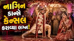 હાઈ લા! દુલ્હેરાજાને ભારે પડ્યો નાગિન ડાન્સ! દુલ્હને લગ્ન કરવાની ઘસીને ના પાડી દીધી
