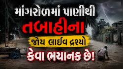 કેવા ભયાનક છે માંગરોળની તબાહીના દ્રશ્યો! આભ ફાટતા ચારેબાજુ મચાવી તબાહી, 22.6 ઈંચ વરસ