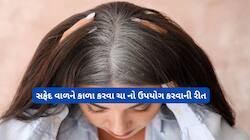 વાળ સફેદ થવાની શરુઆત થઈ ગઈ ? તો આ રીતે ચાનું પાણી બનાવી તેનાથી વાળ ધોવાનું રાખો