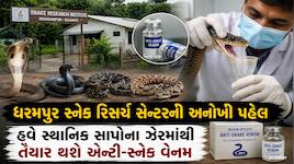 ગુજરાતના સાપોનુ ઝેર હવે બનશે સંજીવની,એન્ટી-સ્નેક વેનમ બનાવવા માટે કંપનીને સોંપયુ ઝેર