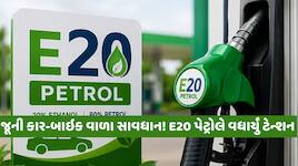 E20 પેટ્રોલ કે એસિડ? જૂની ગાડીઓના આ પાર્ટ્સ ઓગળવા લાગ્યા! ARAI રિપોર્ટમાં સનસનાટીપૂર