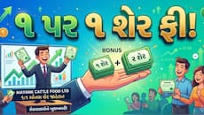 1 પર 1 શેર બોનસ આપી રહી છે આ કંપની, આજે થઈ જાહેરાત, 52 વીક હાઈ પર સ્ટોક