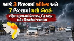 દુકાનોમાં પાણી, લોખંડની ગડરો તણાઈ, પૂરનું છાતીસમા પાણી...દક્ષિણ ગુજરાતમાં મેઘાનું જળ
