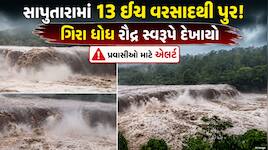 ડાંગ જિલ્લામાં મેઘાની તોફાની બેટિંગ: સાપુતારામાં 13 ઇંચ વરસાદથી પૂર! ગિરા ધોધ રૌદ્ર