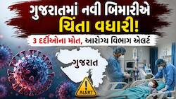 ગુજરાતમાં જીવલેણ વાયરસનો કહેર: ગોધરાથી લીધો ઉત્તર ગુજરાત પહોંચ્યો, 3 દર્દીઓના મોત