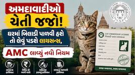 અમદાવાદમાં કૂતરા બાદ હવે પાલતુ બિલાડીઓનું પણ રજીસ્ટ્રેશન ફરજિયાત; જાણો છેલ્લી તારીખ